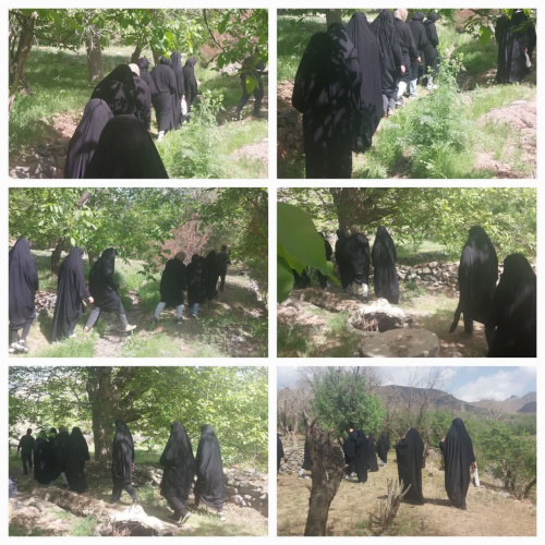 برگزاری کوهگشت دانشجویی